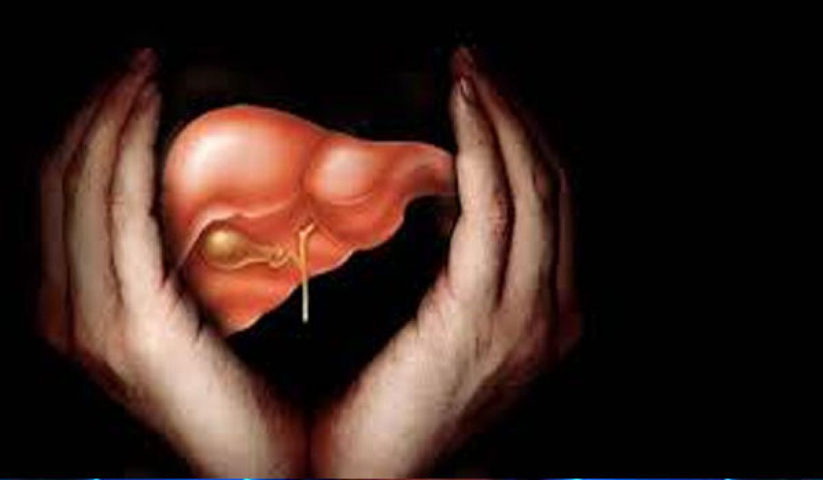 World Liver Day observed