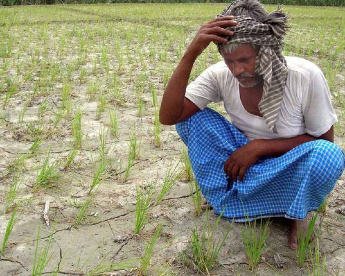How Telangana spared AP the dubious distinction of rising farmer suicides