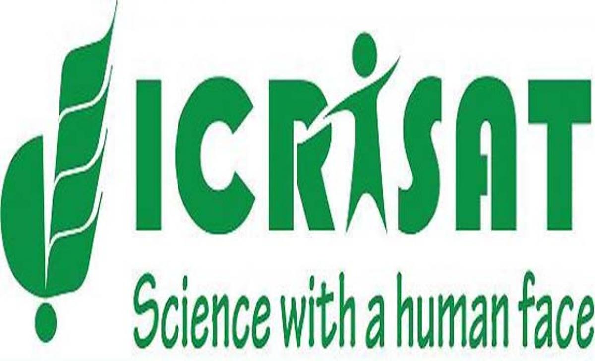 ICRISAT sets up iHub for agricultural entrepreneurs