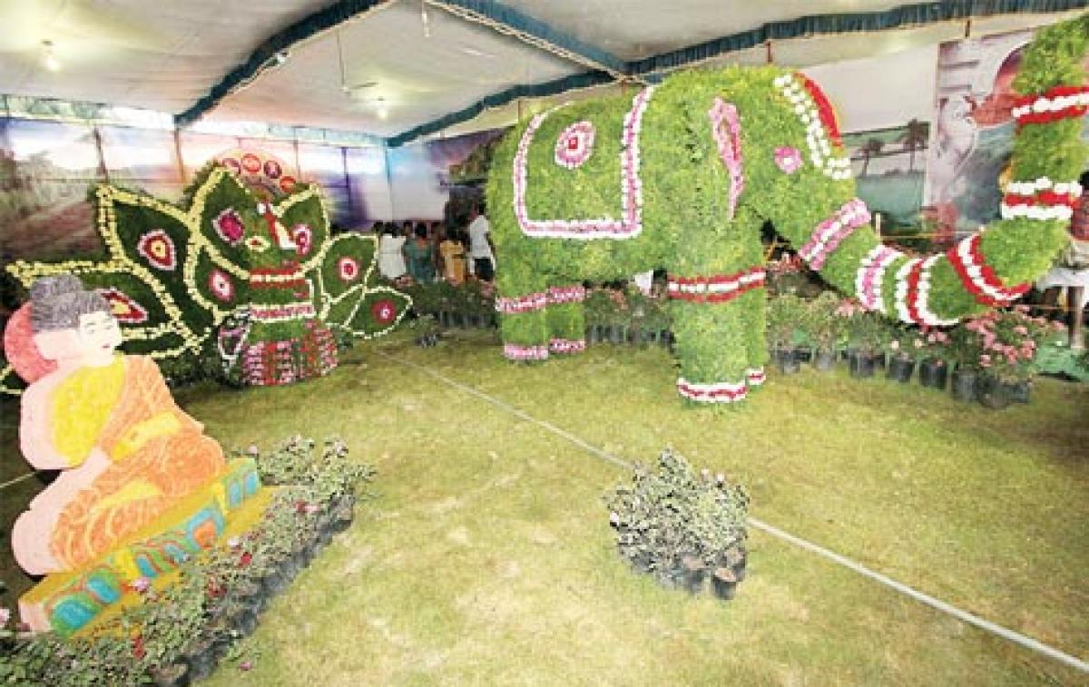 Tirumala Tirupati Devasthanams flower show a visual treat