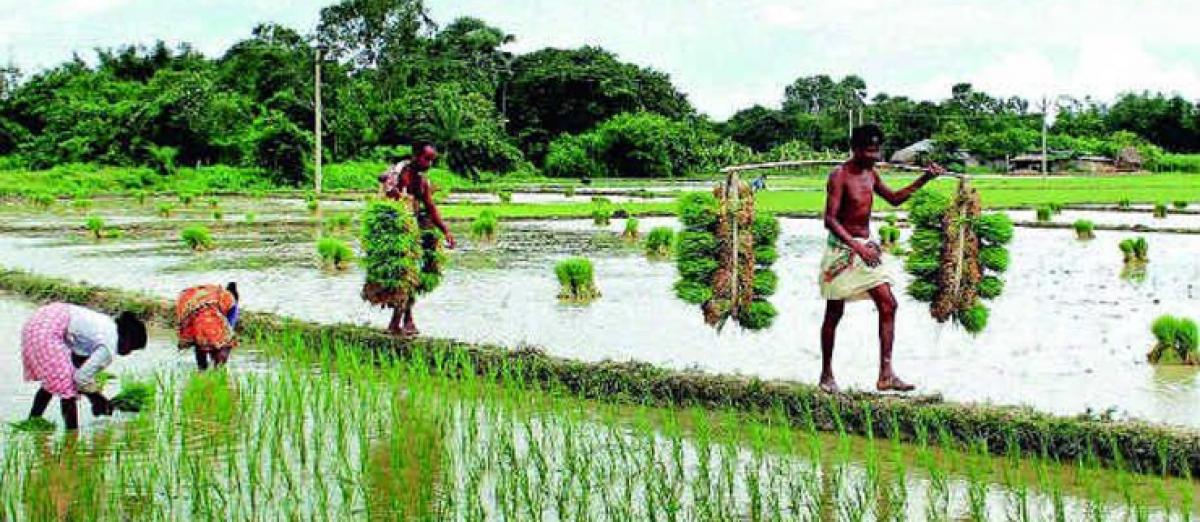 Land Utilisation Pattern in Bangaru Telangana