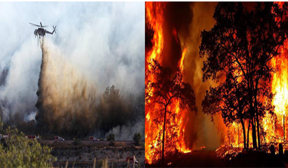California wildfire destroys 96 houses