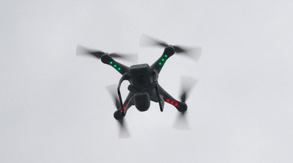 Andhra to use drone cameras to check red sander smuggling