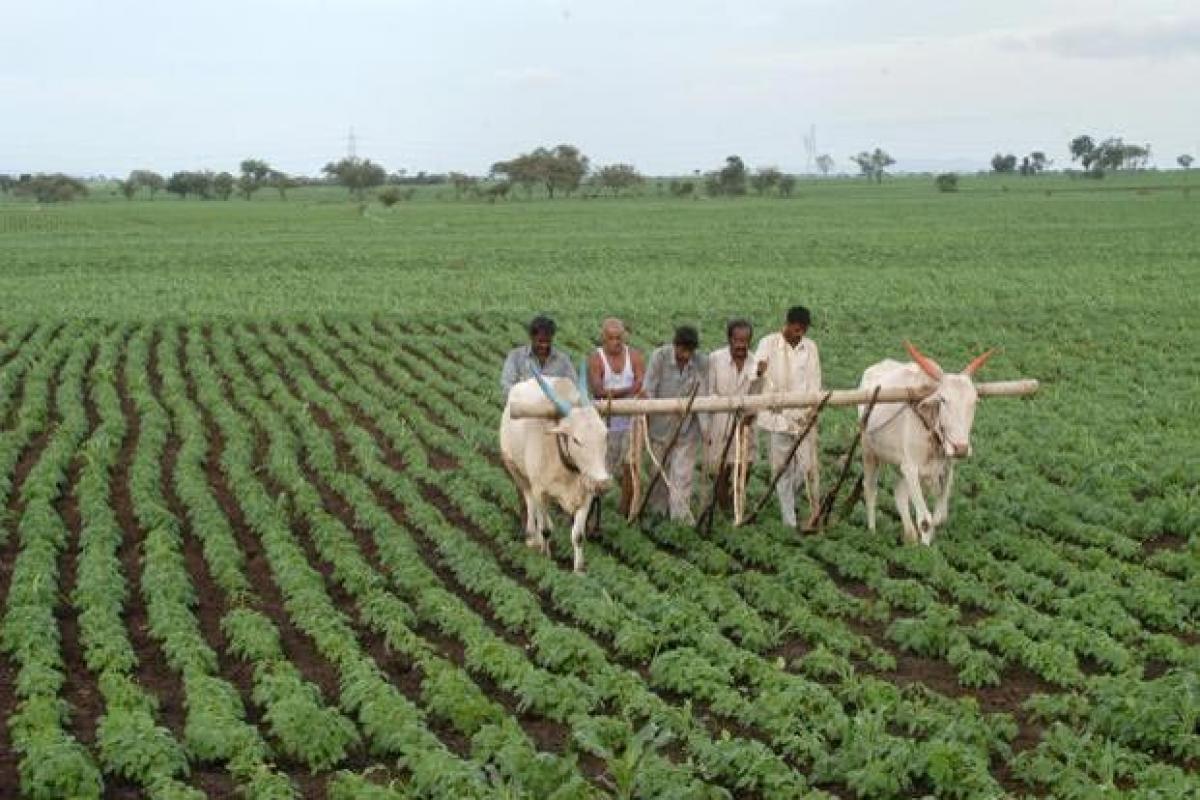 Agriculture, general budgets to be tabled on the same day