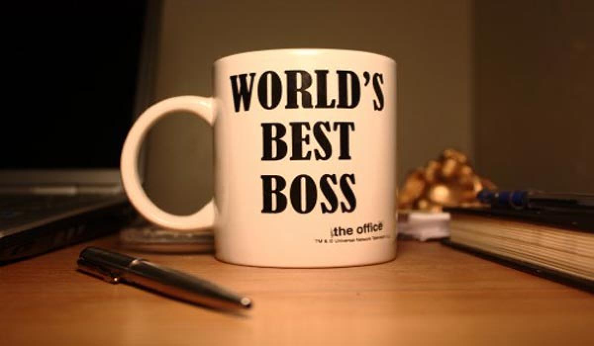 Perfect Boss…. A HR Message From Pride of Lion