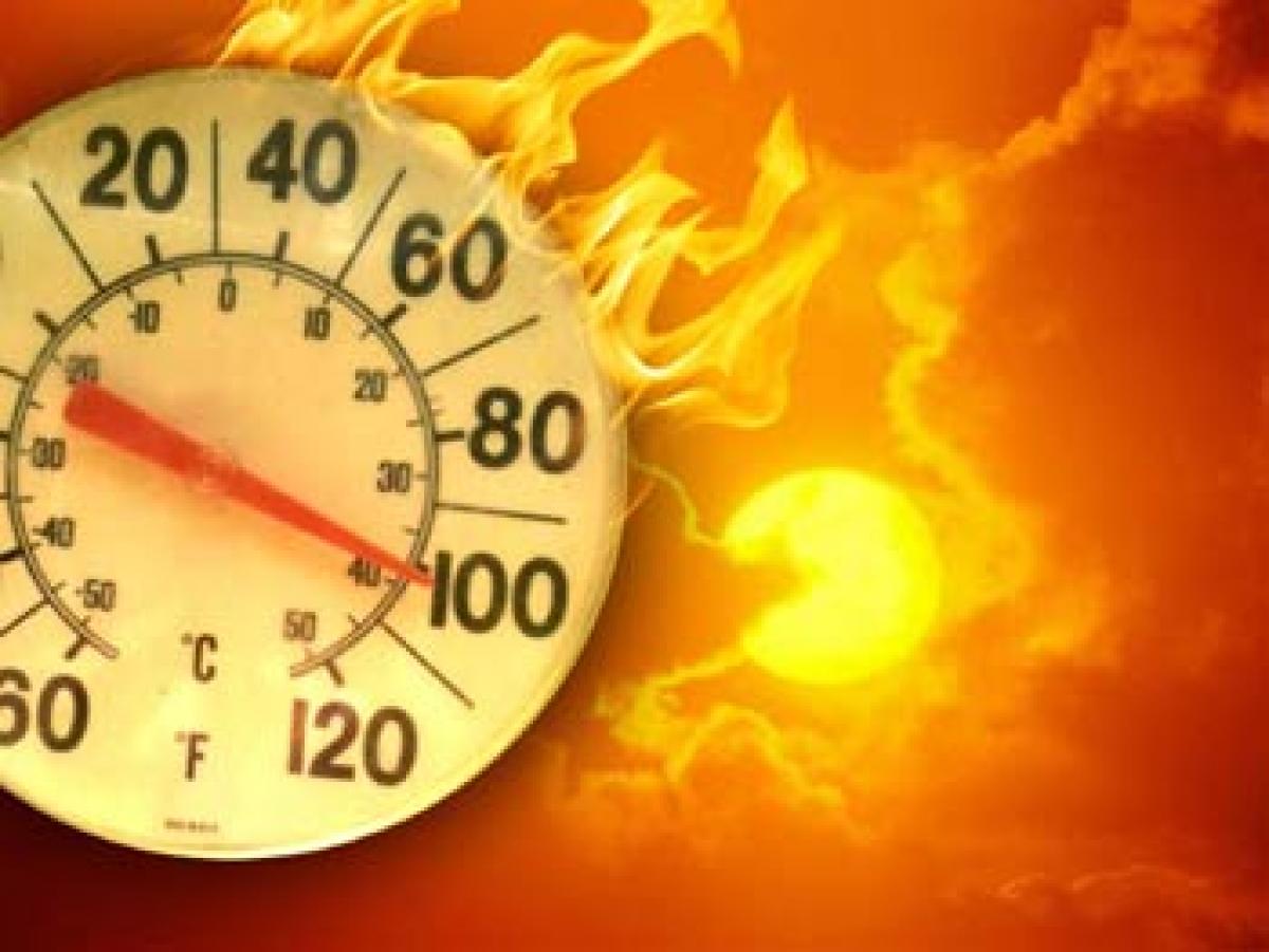 Heatwave death toll surges to 178 