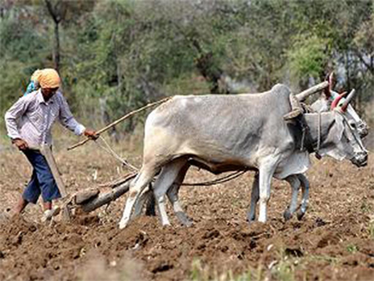 10 lakh tenant farmers left in the lurch