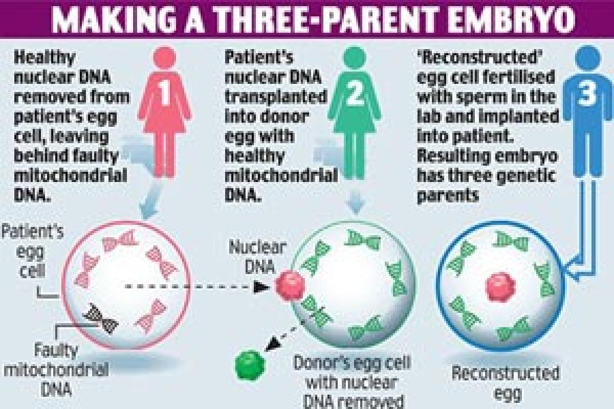 Path-breaking medical approach raises hopes 