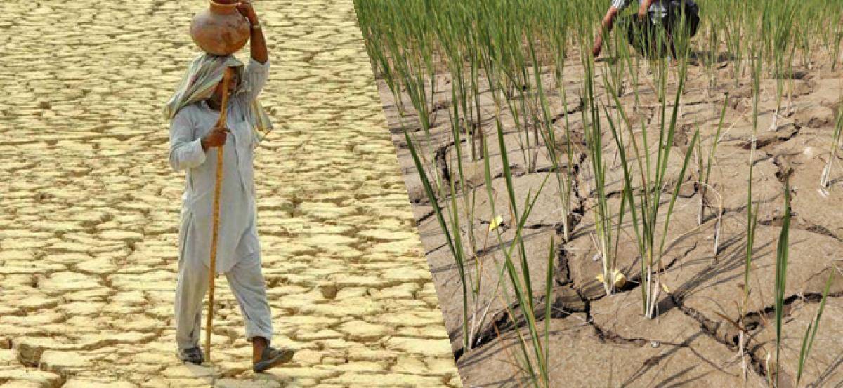 302 of India’s 640 districts living with drought-like conditions