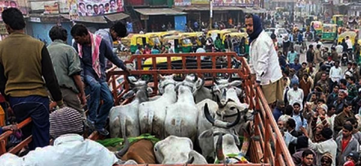 Cattle slaughter ban: Goa govt to write to Centre raising certain objections