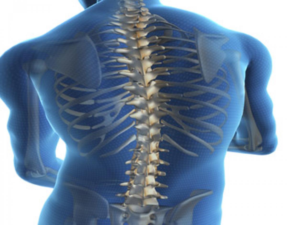 Time to keep Your Back at Work with safe spine surgeries