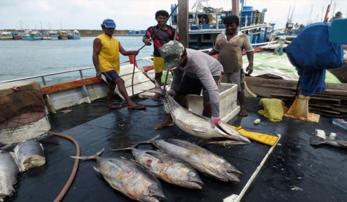 Fishermen societies in troubled waters