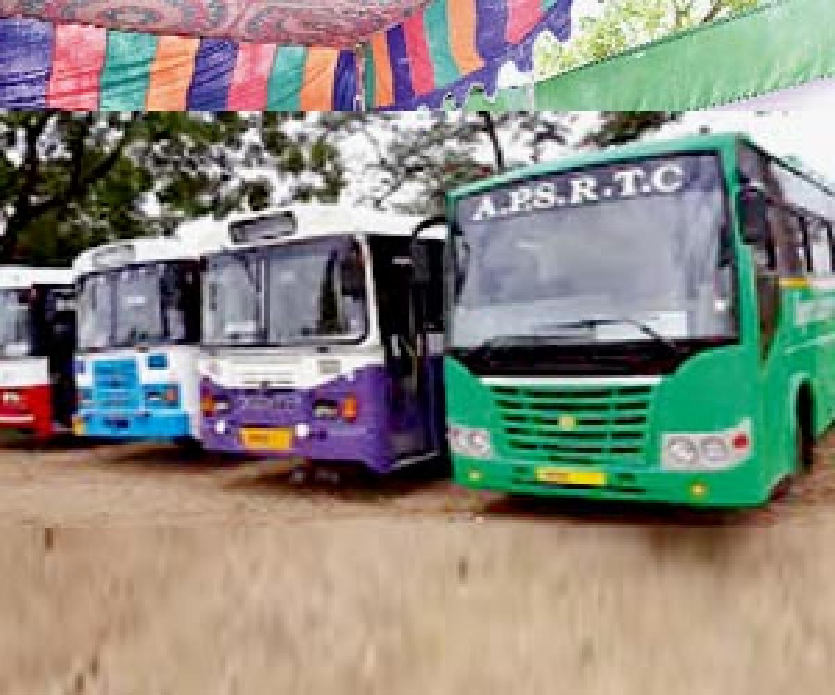 Buses to roll out in the city