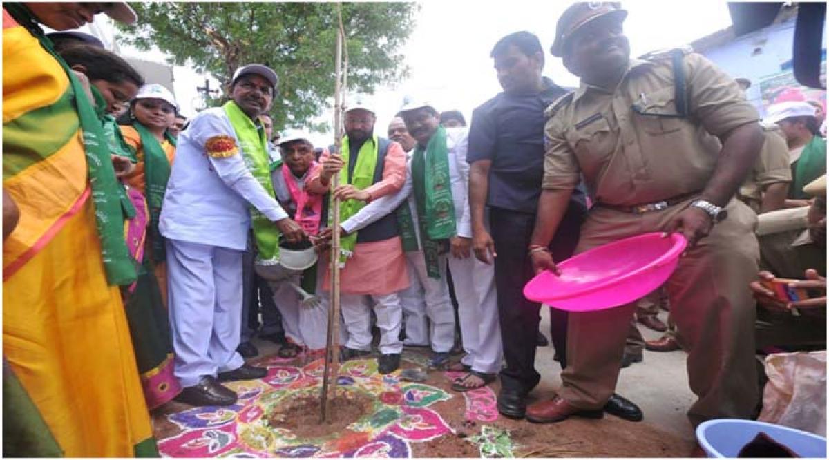 Haritha Haram in Bangaru Telangana