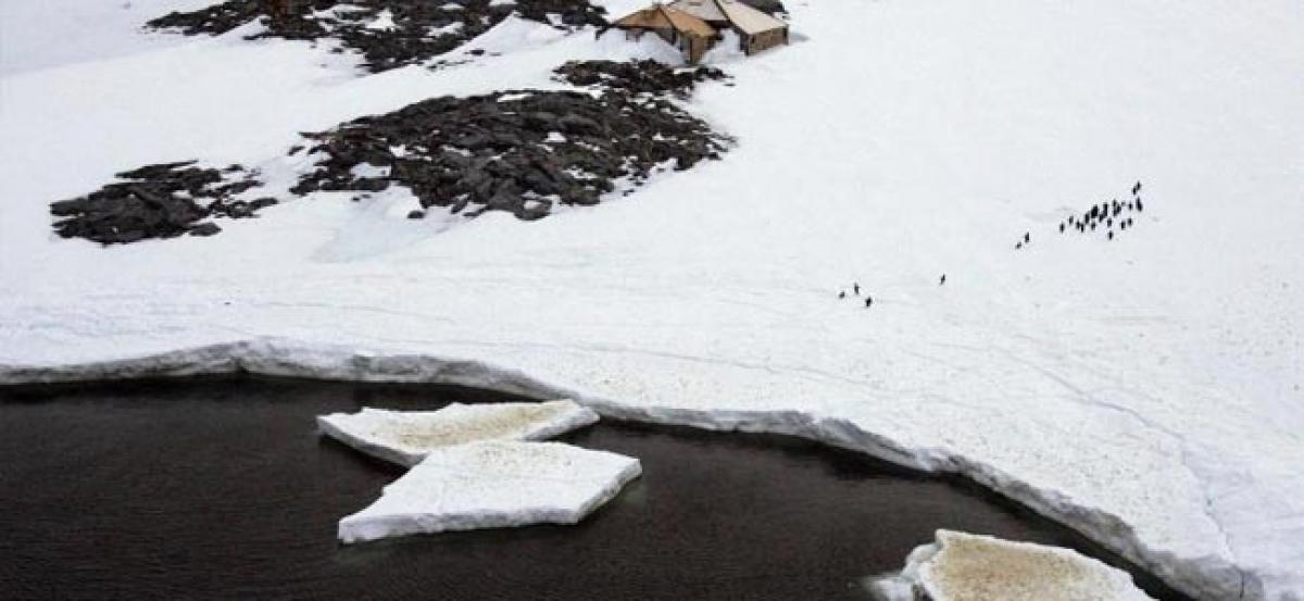 Worlds largest marine park created in Antarctic Ocean