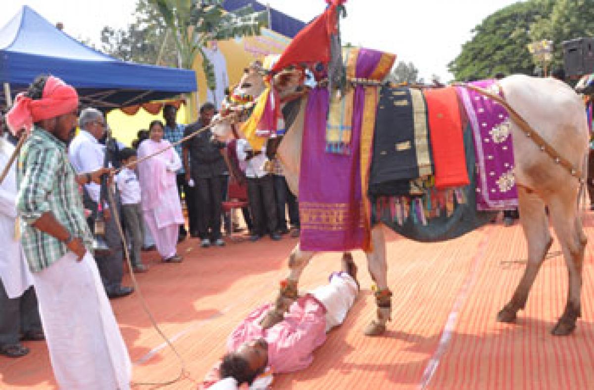 Practise traditions, protect culture: Sidda