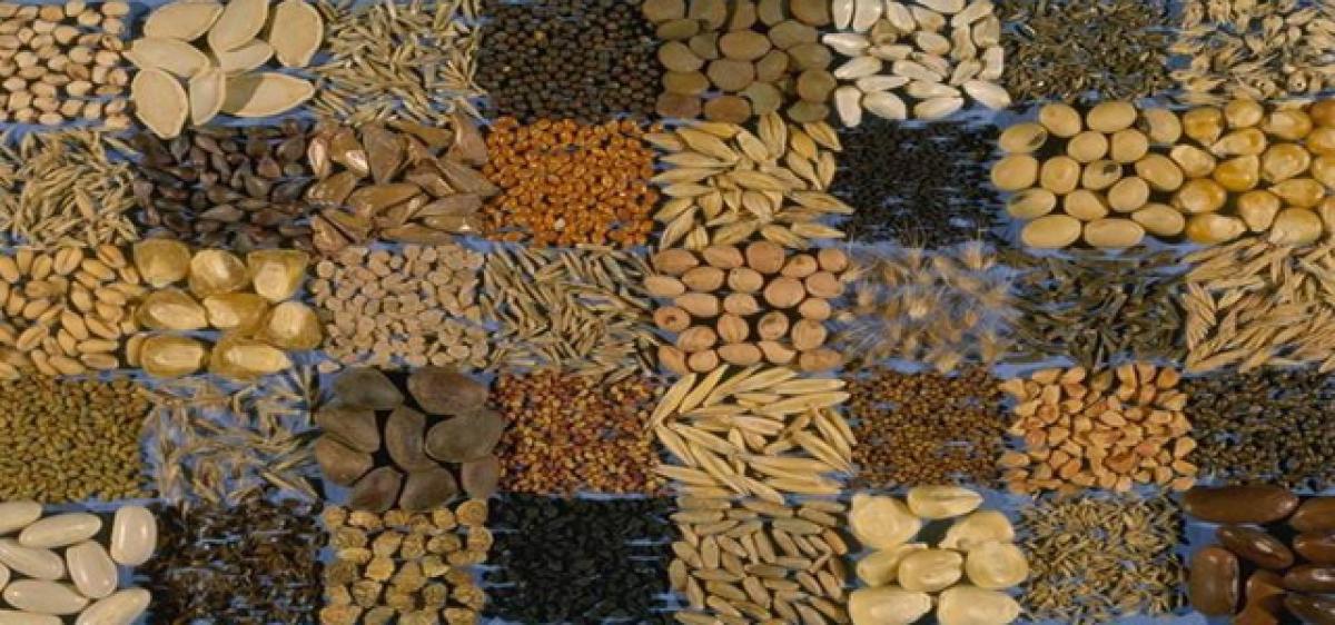 Private seed cos ruin farmers prospects