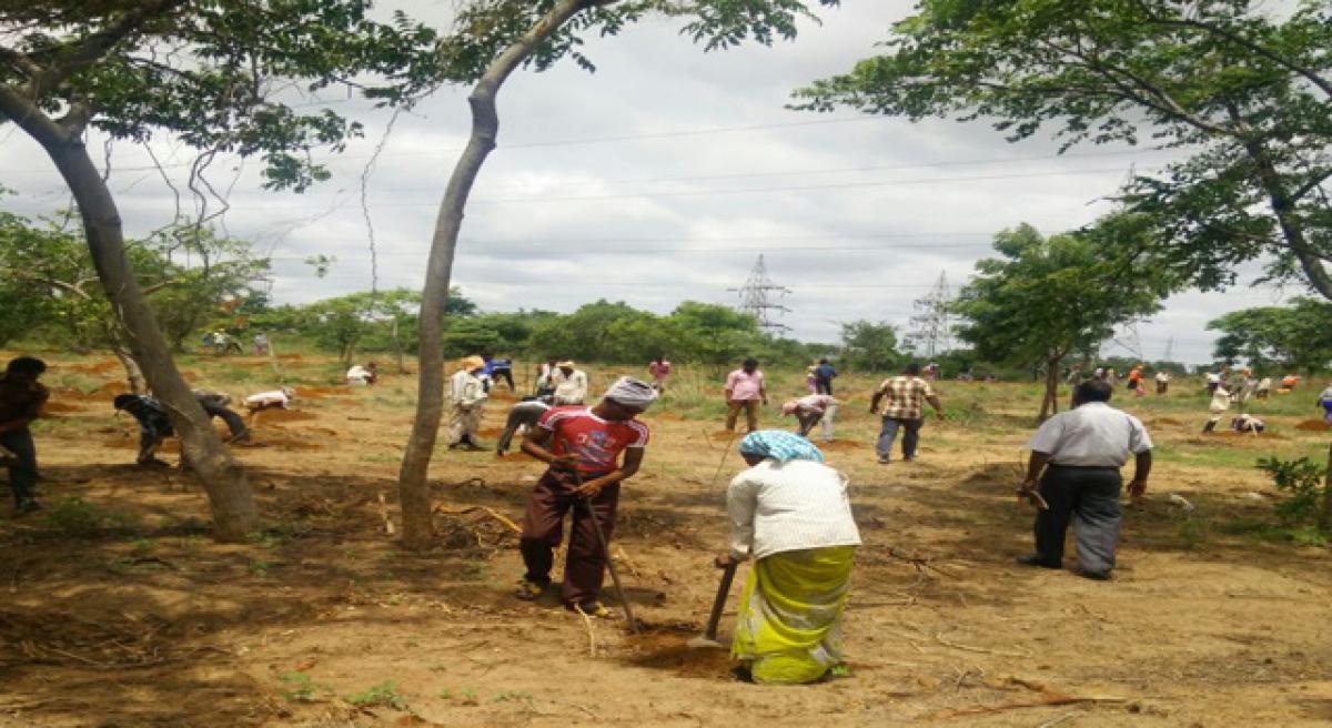 CREDAI to plant one lakh saplings, maintain them