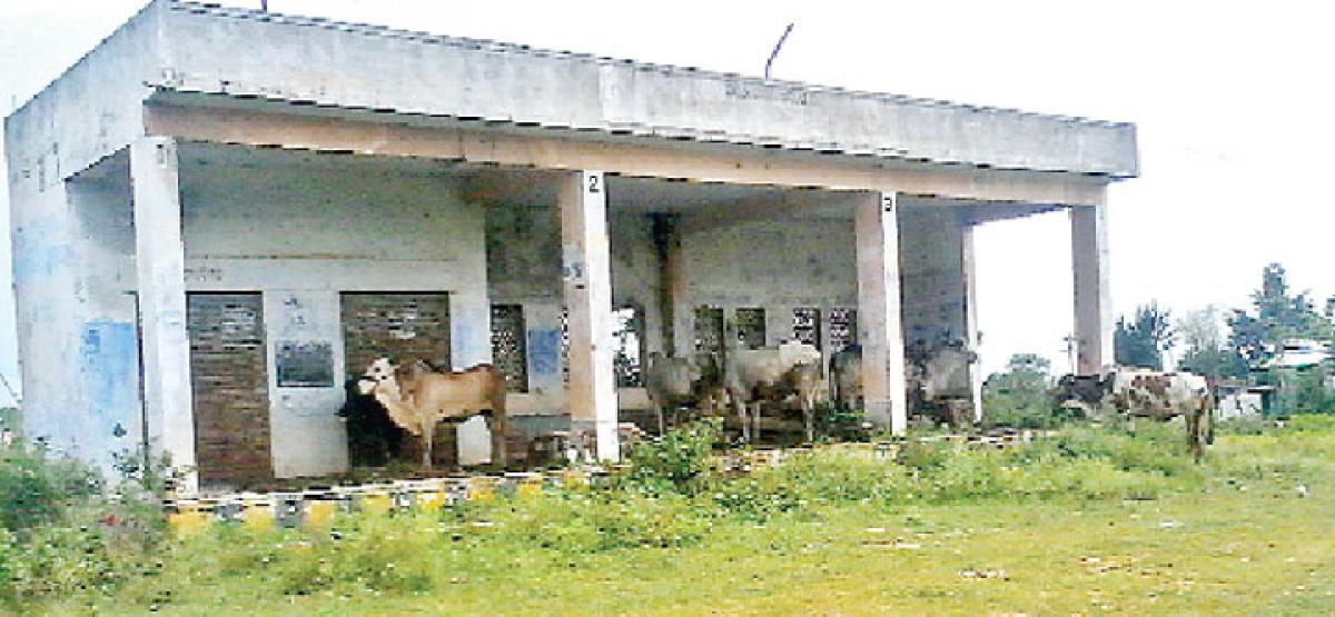 Bus stands turn cattle sheds