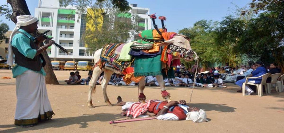 Sankranti Gangireddu is here!