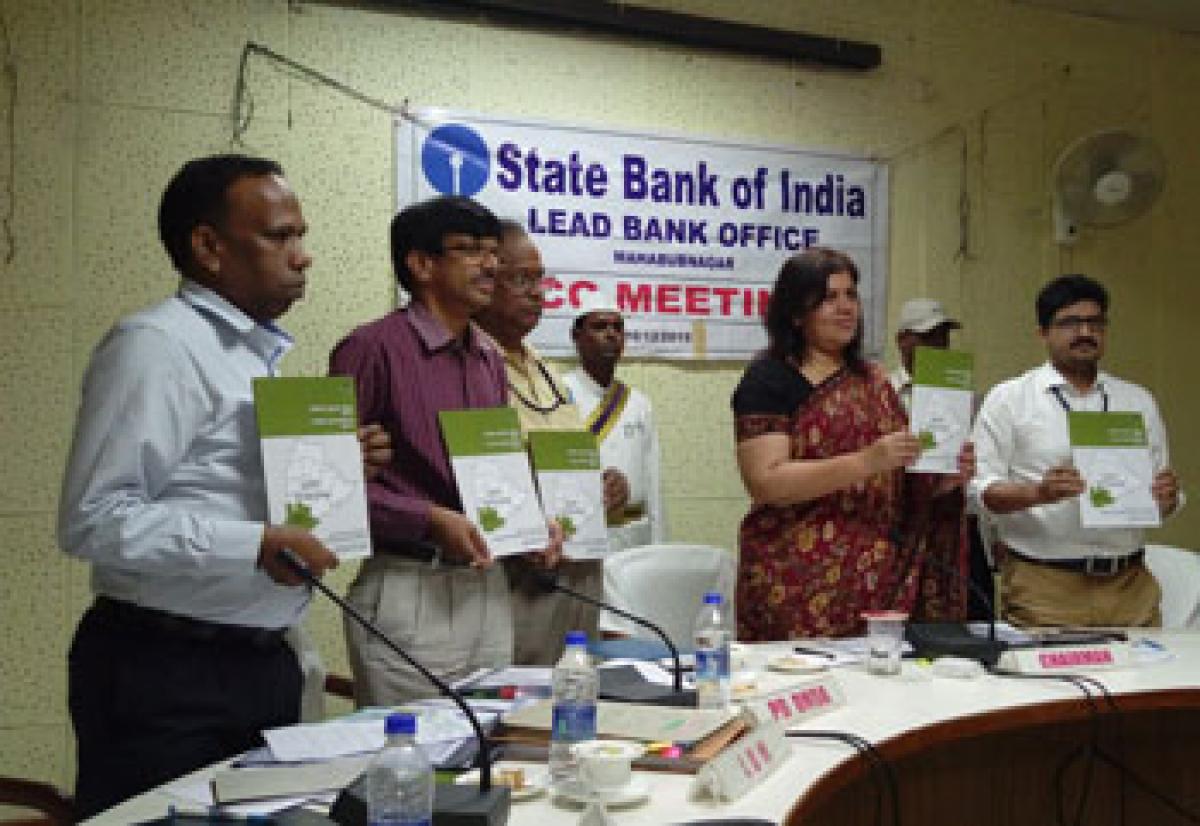 District Collector unveils potential-linked credit plan