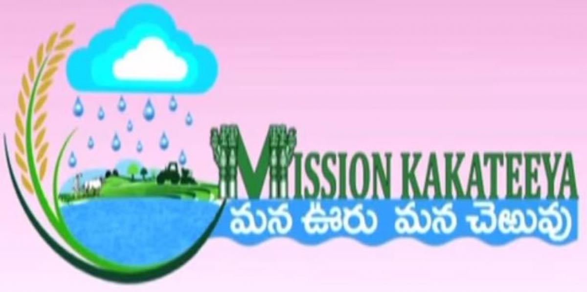 Take special care on Mission Kakatiya works, officials told