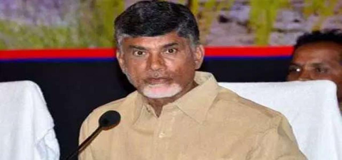 Naidu’s growth story  may miss the target