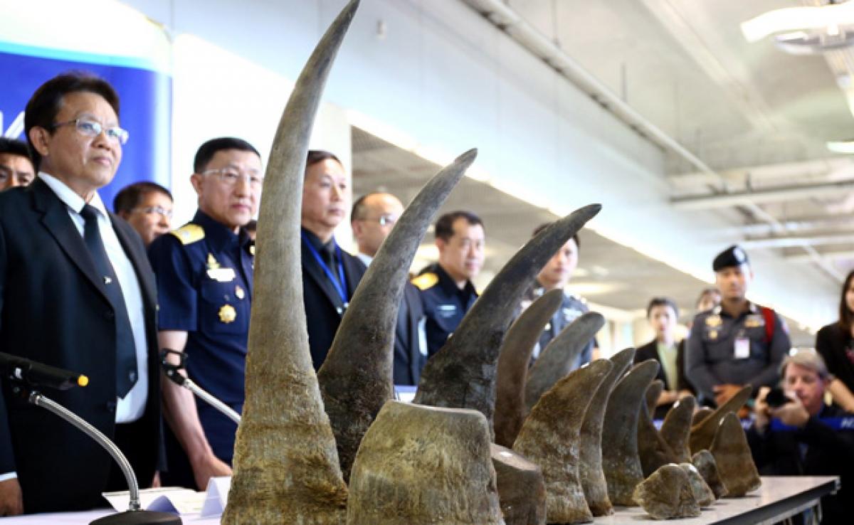 Thailand Seizes Rhino Horns Worth $5 Million In Biggest Haul For Years