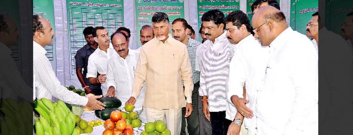 CM pats horticulture farmers