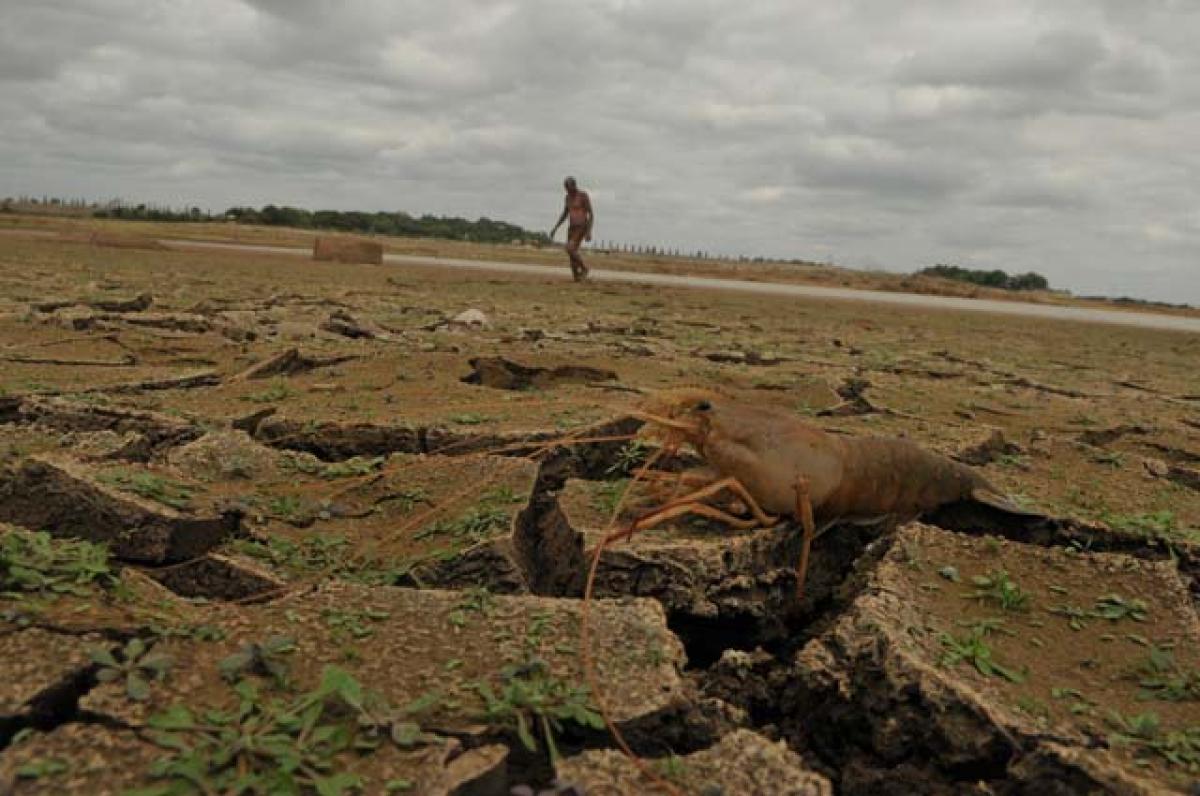 Drought stares at Telangana