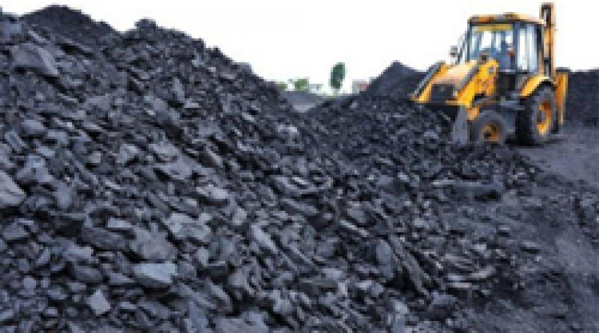 Ex-minister granted bail in coal allocation case