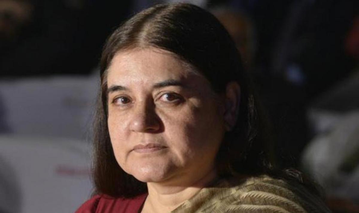 Maneka Gandhi raises her pitch against marital rape