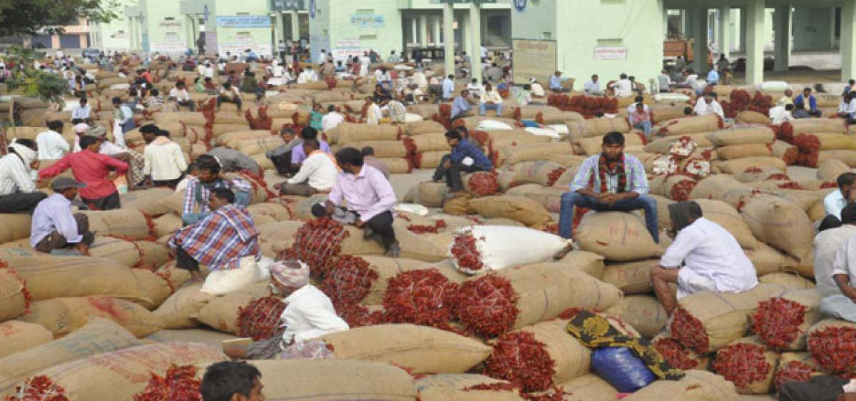 Arrested farmers find chilli bags missing from Khammam market yard