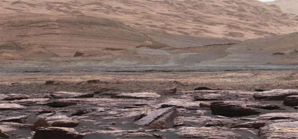 NASAs Curiosity rover finds purple rocks on Red Planet