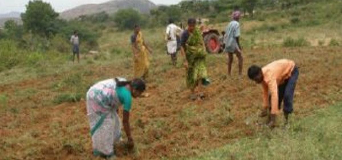 Telangana Govt sets target of distributing 10,000 acres to SCs