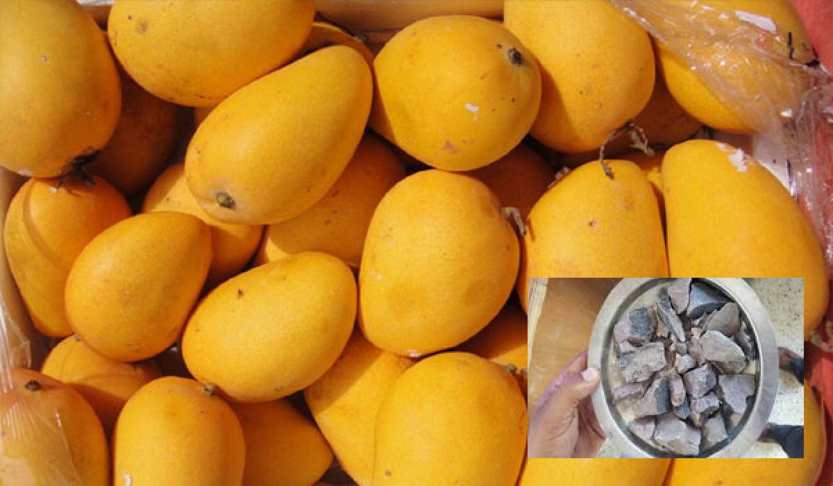 Use of carbide continues in ripening of mangoes