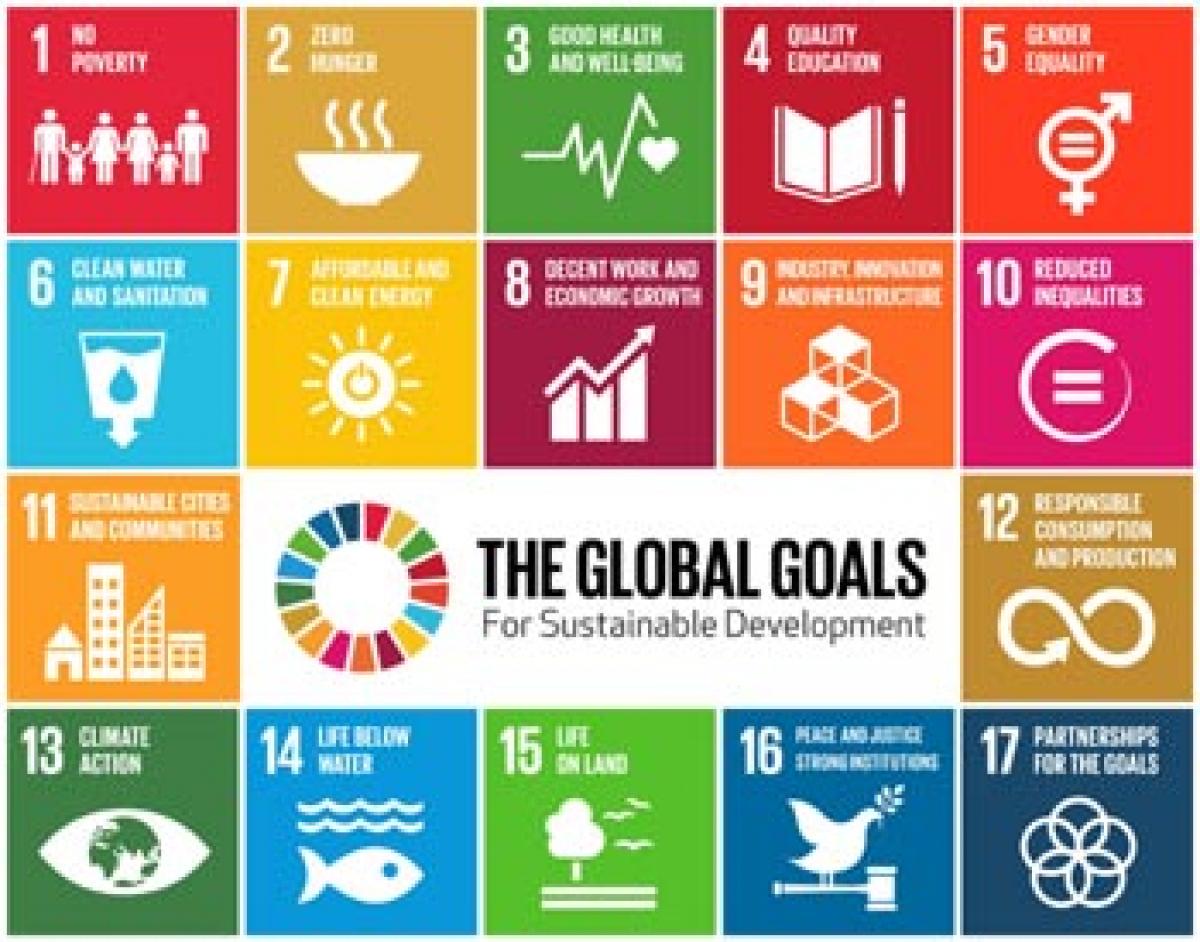 Indian expertise for African SDGs