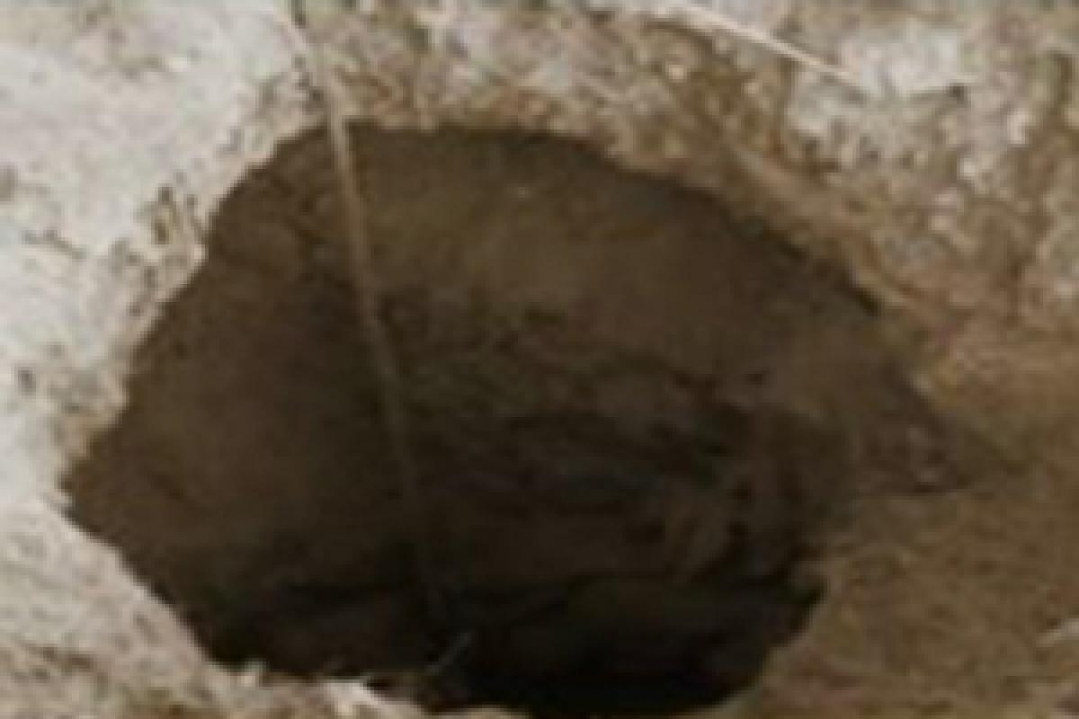 Three-year-old dies after falling into borewell