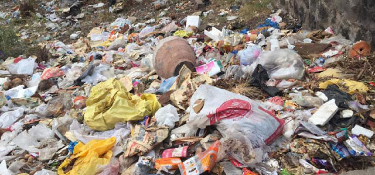 Overflowing garbage: Blame it on people, GHMC