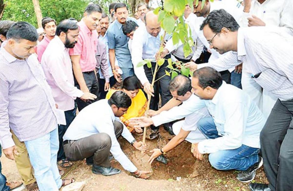 District Medical and Health Officer  takes part in plantation drive