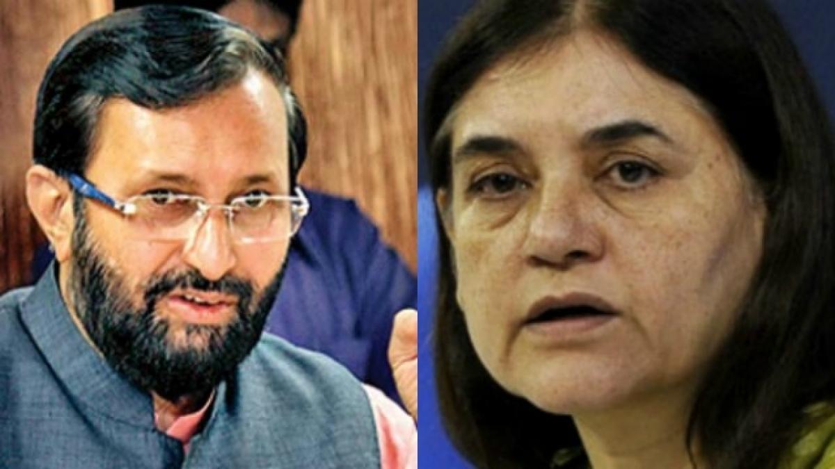 Maneka Gandhi takes on Prakash Javadekar; slams Environment Ministrys lust to kill animals