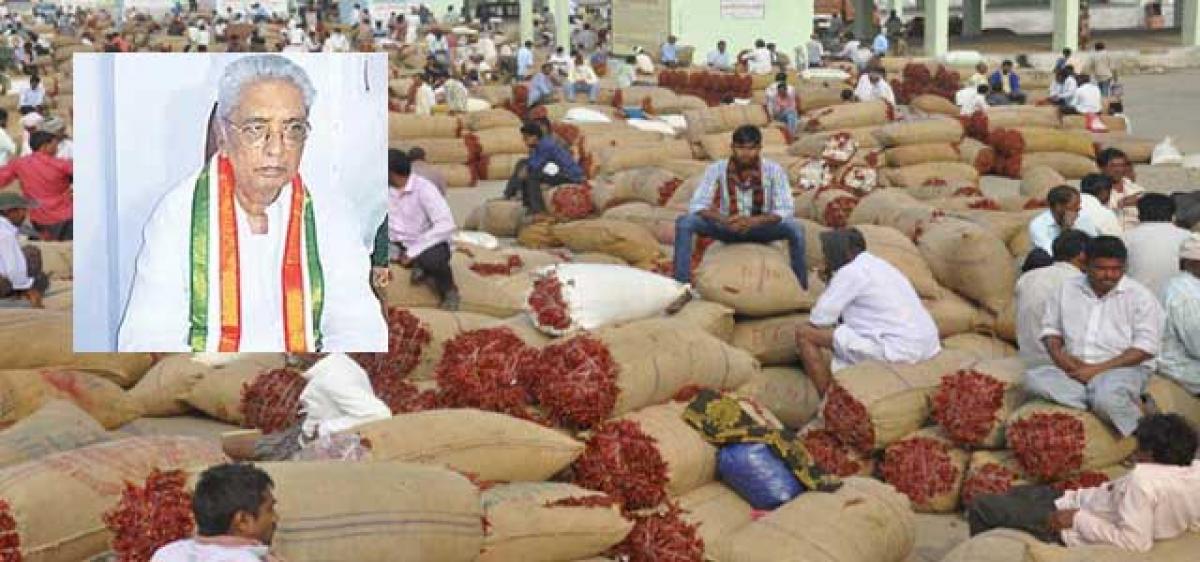 Fall in chilli prices: Congress holds Telangana govt responsible