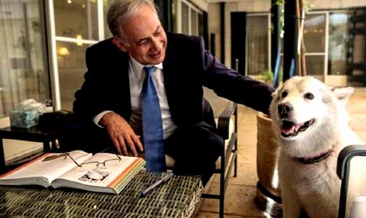 Netanyahus doggie a nightmare for politicians who visit the Israeli PM