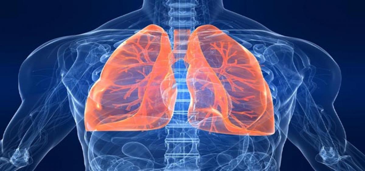 Gene may determine risk of lung disease: Study