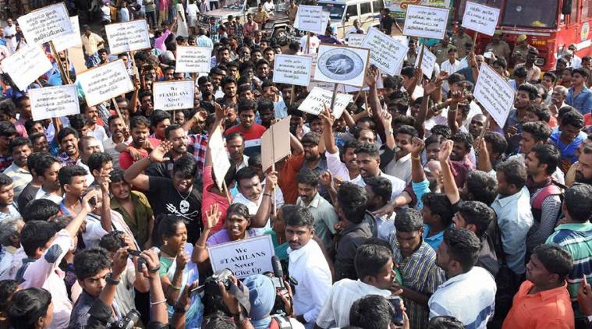 Madras High Court directs police not to harass the family members of Jallikattu protesters