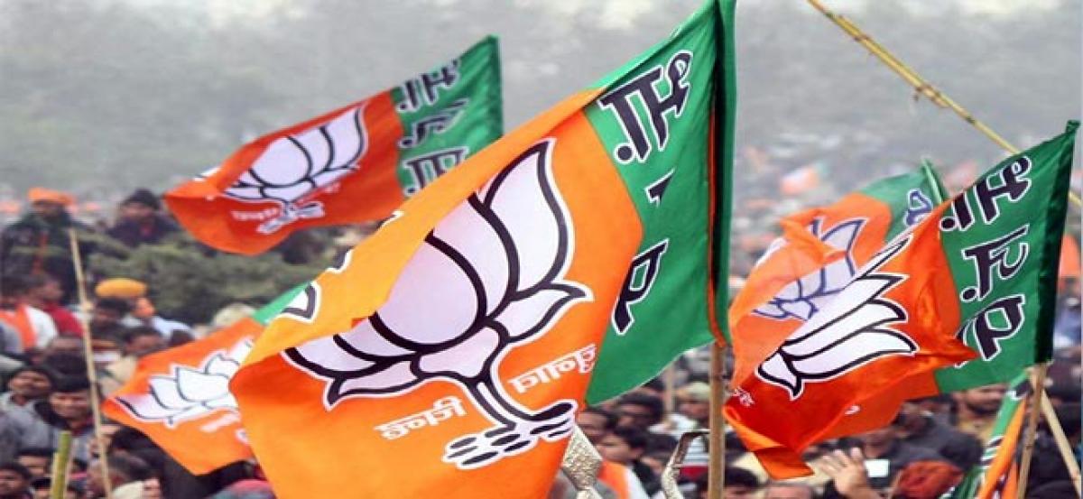 BJP rebel Mothe to fight council polls as MNS nominee