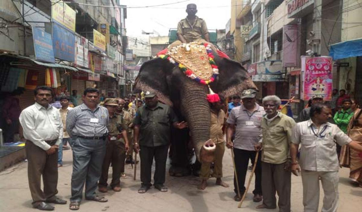 Rajini, the elephant, spearheads devotional procession