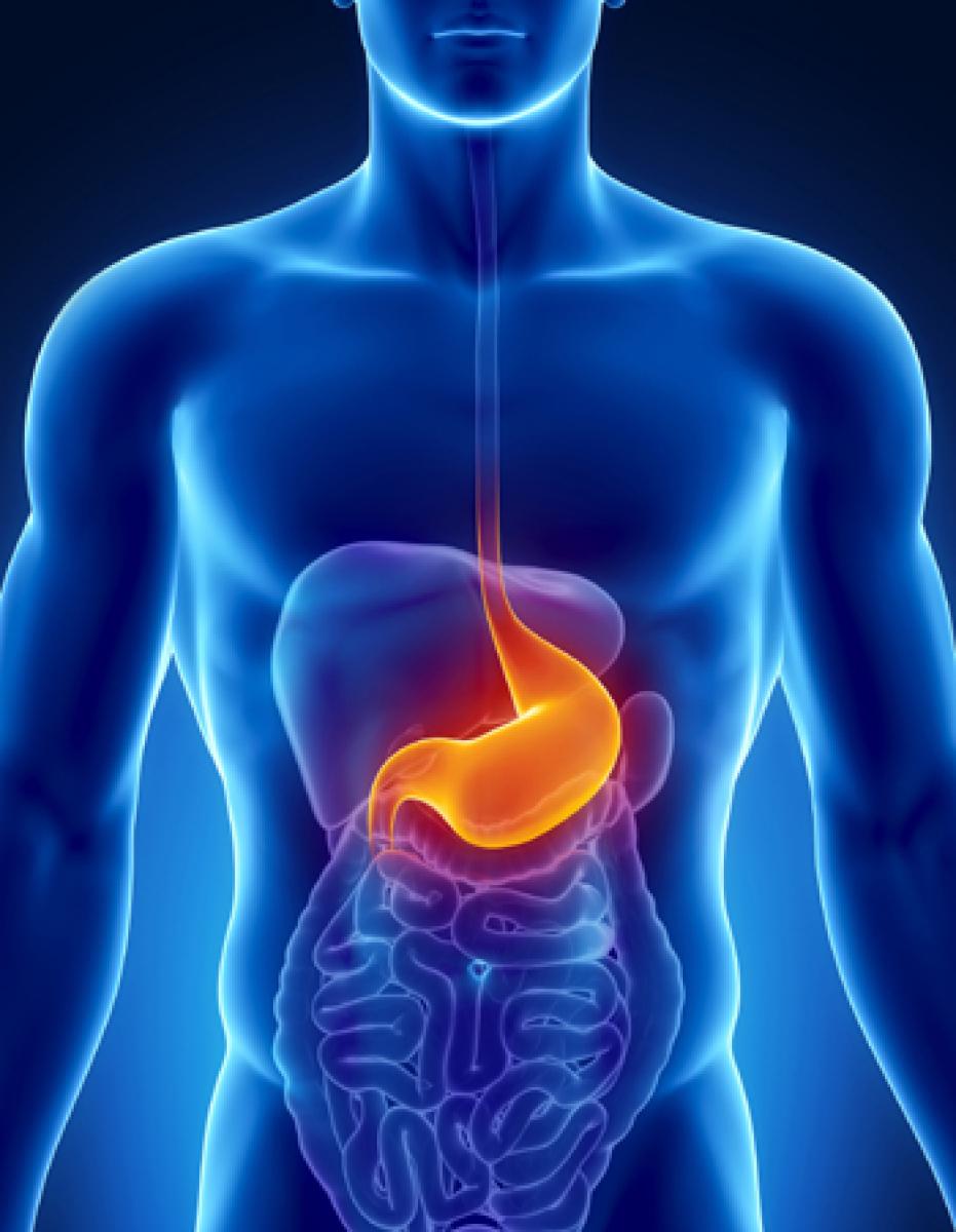 Stomach acid defends against food poisoning