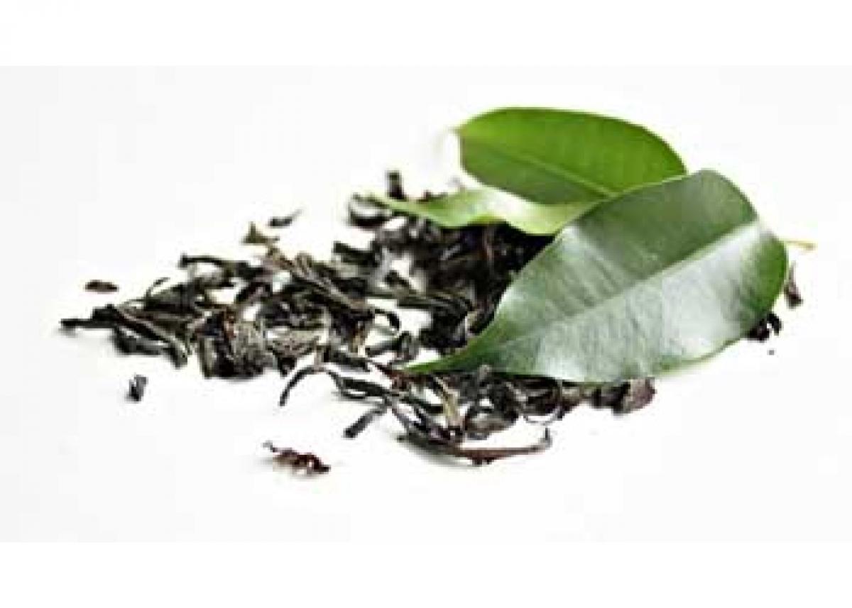 Iron rich diet strips green tea of its antioxidant powers