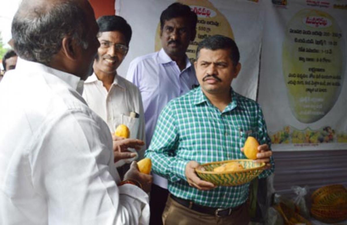 Mango Mela evokes good response